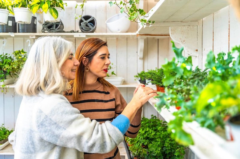 Senior woman and adult daughter browsing small potted plants on greenhouse shelves, smiling and selecting houseplants together for home decor and gardening enjoyment