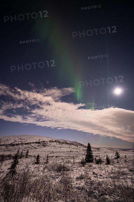 Northern Lights (Aurora borealis) and moonlight, Dundret Nature Reserve, Norrbotten, Lapland, Sweden, November 2022