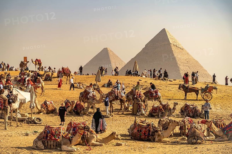 Camels and tourists in the desert near the Giza pyramids, Egypt