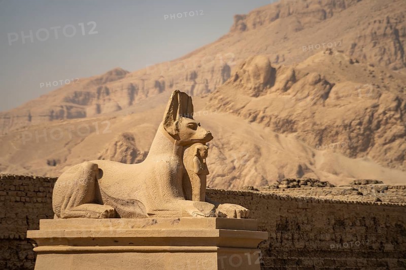 Statue of the god Anubis at Ramesses II's Ramesseum temple in West Thebes near Luxor, Egypt