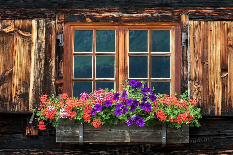 Old windows with floral decorations on the wooden façade of Alpe Hinterenge, near Oberstdorf, Oberallgäu, Allgäu, Bavaria, Germany