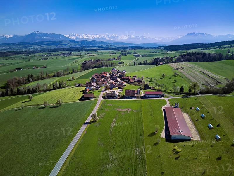 View of the hamlet of Alikon, with the Alps with the Rigi and Pilatus in the back, Sins, Freiamt, Aargau Canton, Switzerland