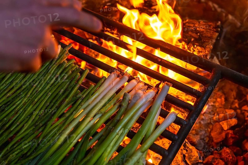 Person cooking healthy green vegetables, asparagus and spring onions, on a metal grill grate over burning wood flames, enjoying a delicious outdoor campfire experience