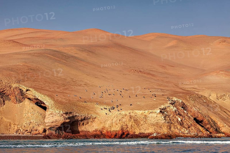 Sand dunes on a rocky coast with calm sea and clear blue sky, the rocky coast with the desert near Paracas in Peru