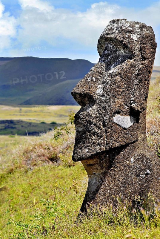 Moai, stone statue, on Rano Raraku, Easter Island, Chile