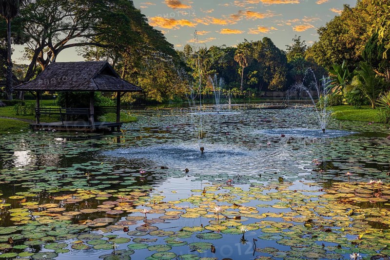 Pond with water lilies, small pagoda and fountain in the evening light, near Lampang, Lampang province, Thailand