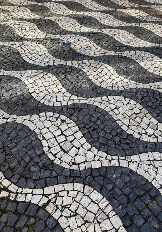 Graphic black and white paving, Calçada Portugesa, traditional limestone and basalt mosaic paving with hard-to-see gray dove, Porto, Portugal