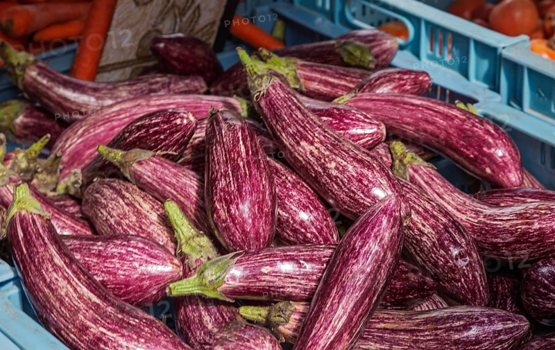 Striped purple eggplants on a market stand, Majorca, Balearic Islands, Spain