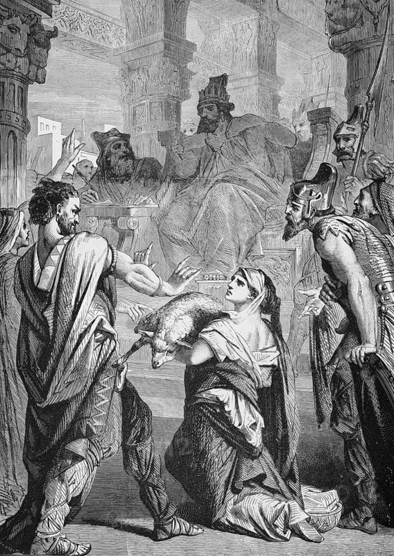 The King's Court, Bible, Old Testament, Royal Court, Judgment, Judgment, Justice, Wisdom, Throne, Judge, Law, Decision, Dispute, Truth, Sense of Justice, Divine Wisdom, Crown, Ruler, Royal Court, Judgment, Faith, Religion, Sacred Scripture, Symbolism, Historical Presentation, Justice, Conflict Resolution, Young Woman, Sheep, Wearing, Men, Wrath, Rejection, Despair, Soldiers, historical illustration around 1850