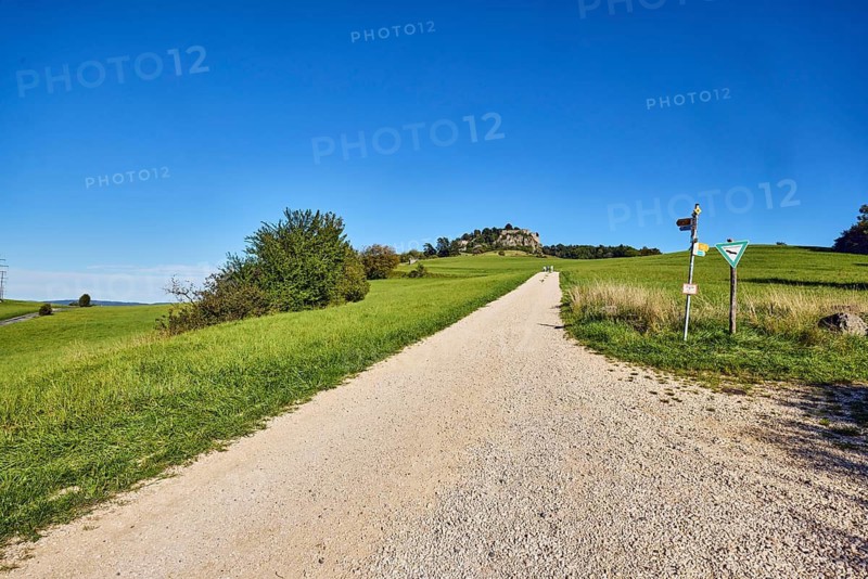 Hohentwiel mountain, Hohentwiel fortress ruins, cinder stone footpath, nature reserve, meadow, shrubs, trees, landscape photography, hilly landscape, blue sky, cloudless, Hilzingen, Hegau, Konstanz district, Baden-Württemberg, Germany