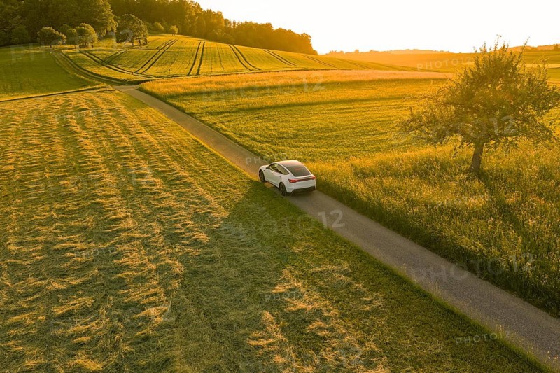 A car drives on a country road through golden fields with a tree at sunset, Tesla Model Y, Gechingen, Calw district, Germany