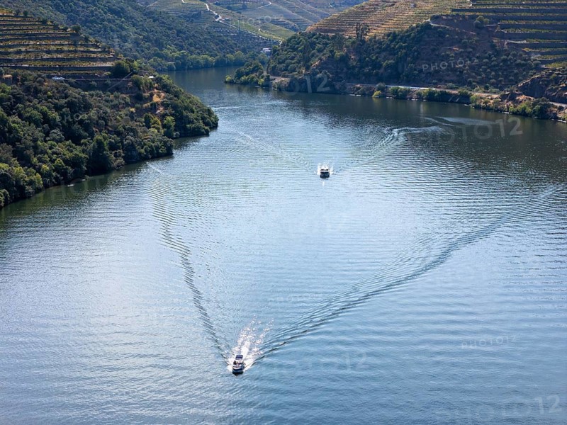 Douro river boat wake and vineyard valley in Portugal daylight, viewed from above with rippled water and terraced wine hills on both sides