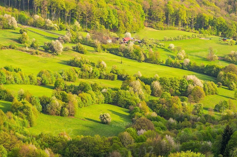 View over the hills with forests and meadows with blooming cherry trees on a sunny day in spring, Horna Suca, Slovakia