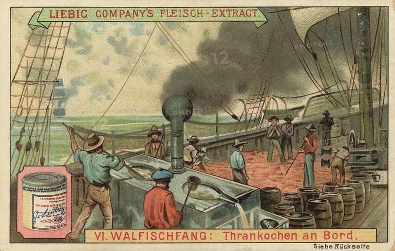 Whaling picture series, process of extracting oil from whale bacon, cooking, on a whaling ship, favorite picture, digitally restored reproduction of a collector's painting from around 1900, exact date unknown