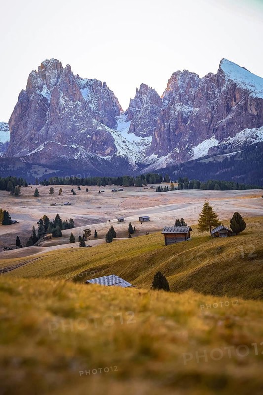 Snowy mountain peaks over golden meadows with isolated huts, view over the autumnal Seiser Alm on Sassolungo and Plattkofel, alpine huts, Dolomites, South Tyrol, Italy