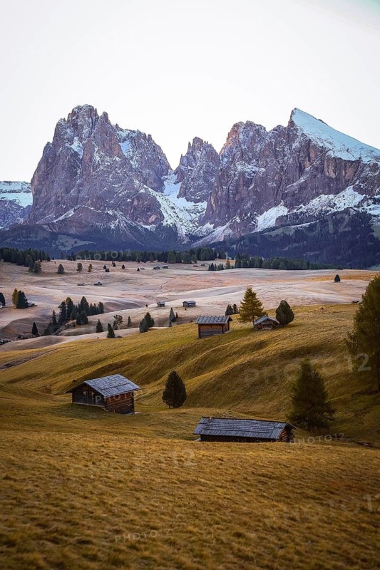 Snow-covered mountains and quiet meadows with scattered wooden huts, view over the autumnal Seiser Alm on Sassolungo and Plattkofel, alpine huts, Dolomites, South Tyrol, Italy