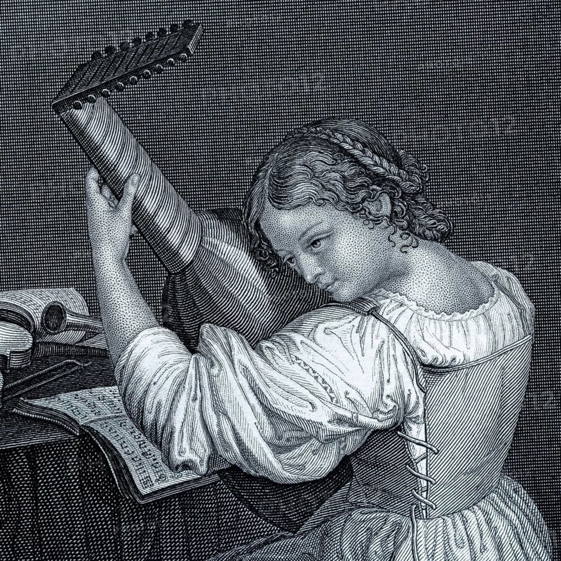 Detail from the painting Die Lutenschlägerin by Michelangelo Amerigi da Carravaggio, painting, Baroque painting, Italian painting, 17th century, lute, musical instrument, musician, portrait, half-figure, still life, flowers, fruits, music, naturalism, realism, chiaroscuro, light-dark contrast, light and shadow, masterful lighting, expression, wealth of detail, art history, masterpiece, Italian art, oil painting, young woman, historical illustration 1854