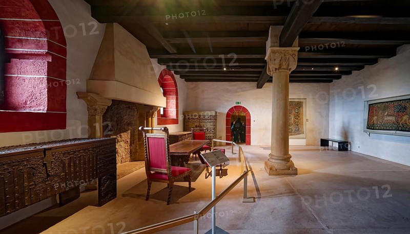 Dining room, Wartburg, castle in the Thuringian Forest, UNESCO World Heritage, interior view, Eisenach, Thuringia, Germany