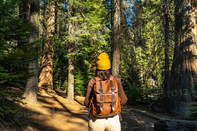 Woman with a backpack and yellow beanie exploring the majestic redwood forest, walking on a natural trail among the towering trees under warm sunlight, experiencing nature and adventure