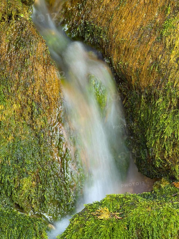 Mossy rocks with stream, Soca, Triglav National Park, Slovenia
