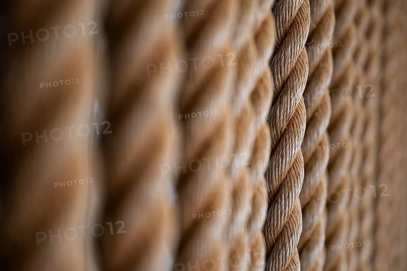 Close-up of several twisted thick ropes hanging close together, Strandingsmuseum St. George, North Sea coast, Thorsminde, Denmark