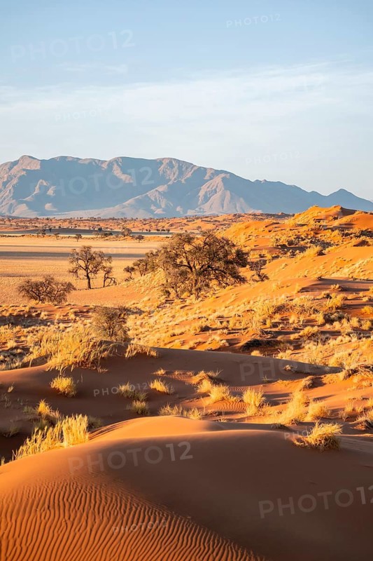 Sand dunes, landscape in the NamibRand nature reserve, in the background Naukluft Mountains, Namib Desert, Namibia