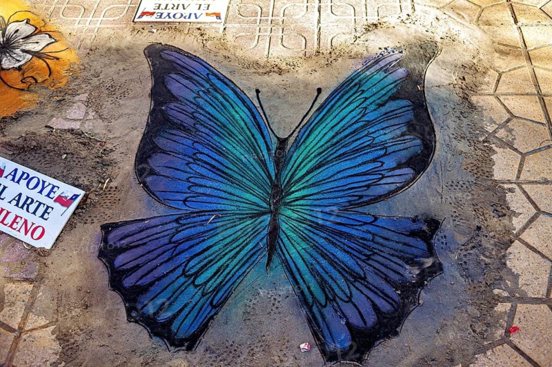 Detailed street painting of a large blue butterfly with green accents, colorful street art and chalk paintings in the streets of Calama in Chile