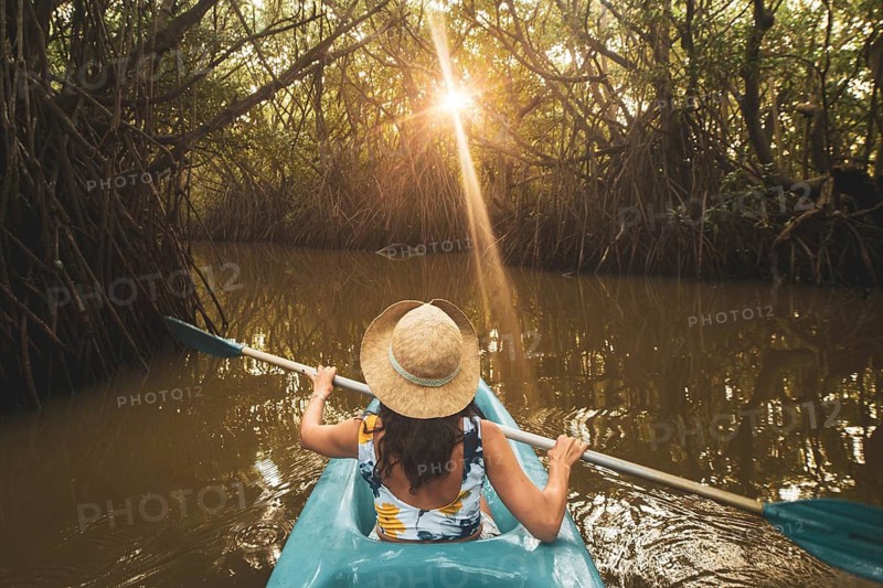 Woman sit in kayak POV row in mangrove on sunrise do active sports outdoors on holiday destination Sri lanka, Tangalle, south coast