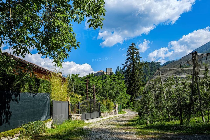 Fruit growing in Meran in South Tyrol, Italy