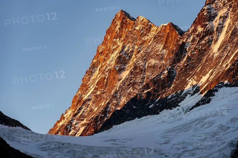 Impressive high-alpine landscape, Finsteraarhorn mountain summit with alpine glow at sunrise, Upper Eismeer glacier, Bernese Alps, Bernese Oberland, Switzerland