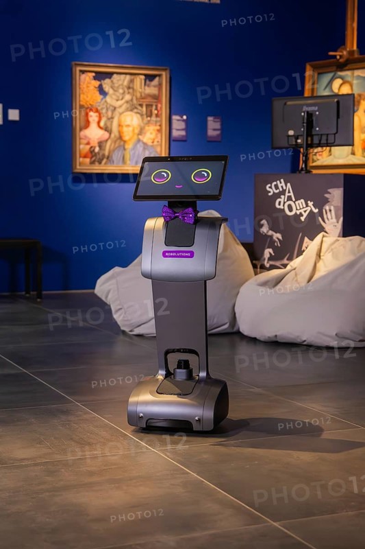 A robot with a fly is in an artistic exhibition, museum robot Robolutions in the Christian Schad Museum, Aschaffenburg, Bavaria, Germany