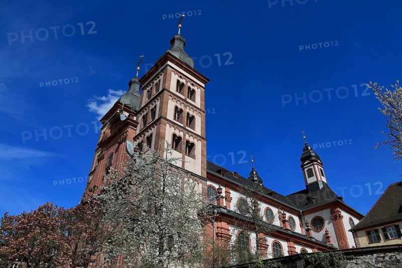 Amorbach Abbey, Monasterium vel Abbatia Amerbacensis, in the Odenwald, former Benedictine Abbey, Amorbach, Miltenberg district, Lower Franconia, Bavaria, Germany