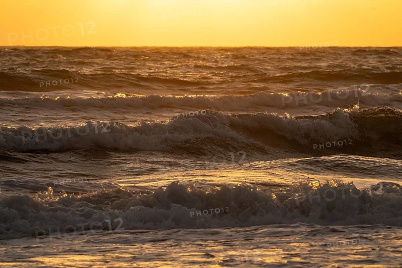 Breaking waves in evening light, surf, Houvig Beach, North Sea, Denmark