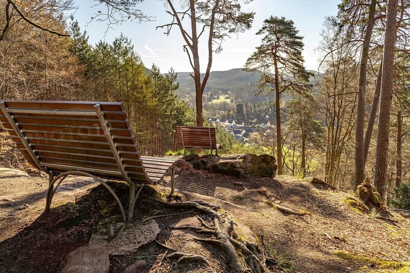 Rest area with bench in the Palatinate Forest near Hinterweidenthal, Rhineland-Palatinate, Germany