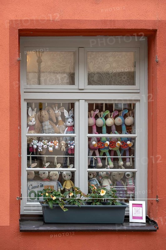 Shop window with stuffed animals, Nuremberg, Middle Franconia, Bavaria, Germany