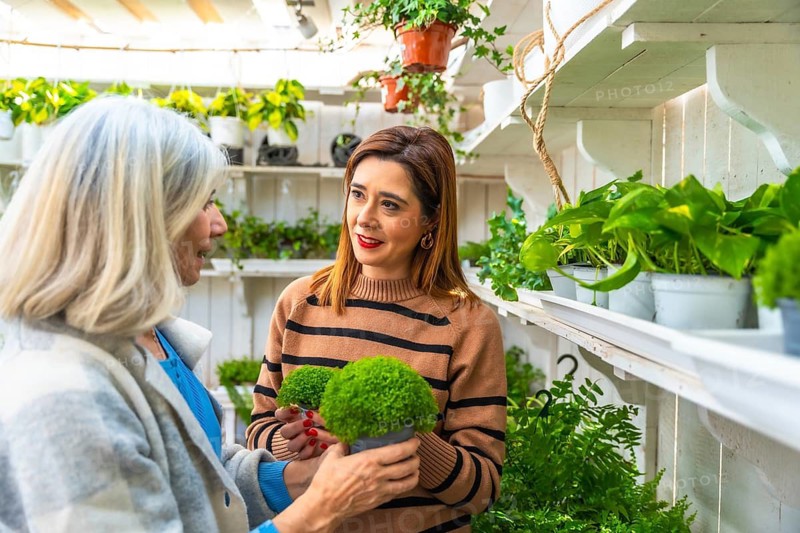 Two women exchanging dialogue and selecting green plants from a wide variety in a sunny garden center, enjoying the process of choosing indoor greenery