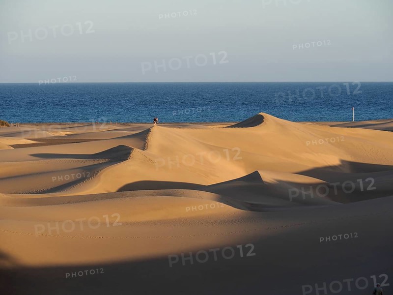 Soft sand dunes in golden evening light on the ocean horizon, Maspalomas Dunes, Gran Canaria, Spain