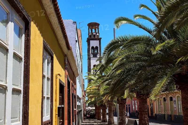 Altadtadtgasse, church, Iglesia Nuestra Senora de la Concepcion, church tower between palm trees and colorful buildings against a blue sky, capital, Santa Cruz de Tenerife, Tenerife, Canary Islands, Spain