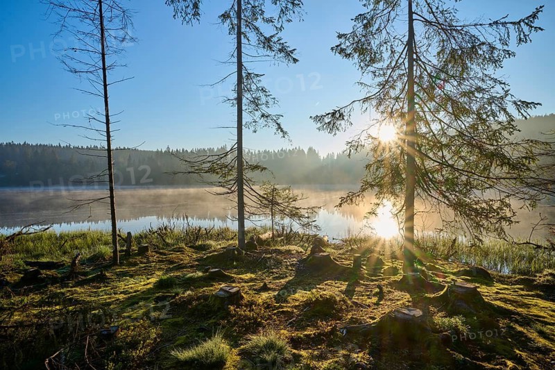 At dawn, sunbeams break through the trees on the shores of a quiet lake, Windgfällweiher, Lenzkirch, Black Forest, Breisgau Hochschwarzwald, Baden-Württemberg, Germany