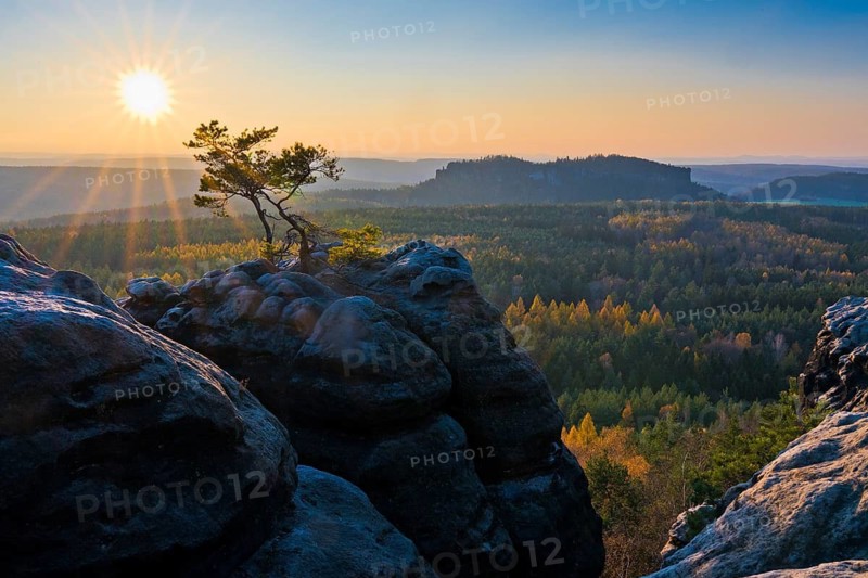 Autumnal Saxon Switzerland with view from Gorisch with weather pine to the Pfaffenstein with Barbarine, Saxon Switzerland National Park, Saxony, Altendorf, Germany