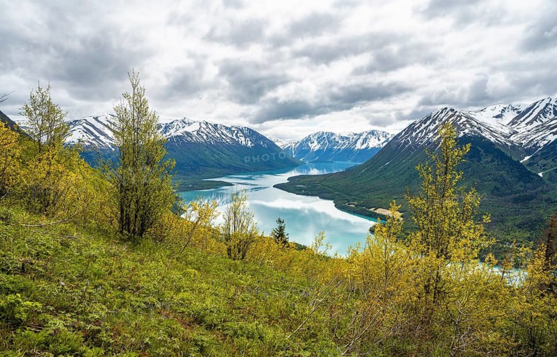 View of snowy mountains in spring and turquoise blue Kenai Lake, Slaughter Ridge Trail, Cooper Landing, Kenai Peninsula, Alaska, USA