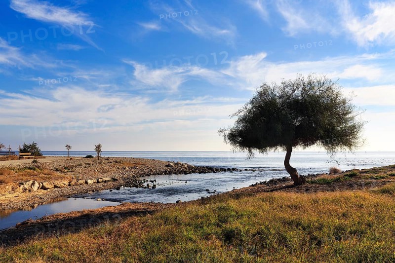 Estuary of the Rio Amadorio, river landscape, lack of water, specimen tree, Cirrus, Parque del Río, coastline, Villajoyosa, Costa Blanca, Spain