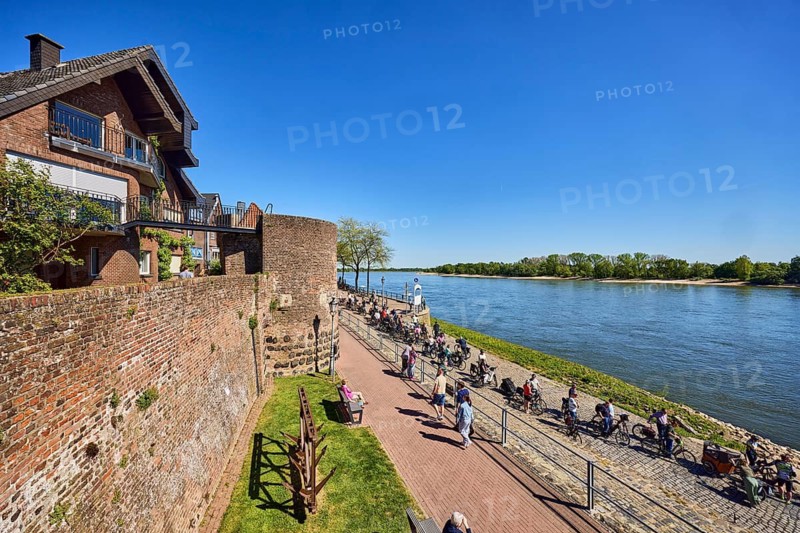 Rhine river, general architecture, houses, brick wall, waterfront, footpath and cycle path, lawn, trees, cyclists and walkers as secondary subject, elevated perspective, blue sky, cloudless, Hohe Rheinstraße, Rheinpromenade, Rees, Kleve district, North Rhine-Westphalia, Germany