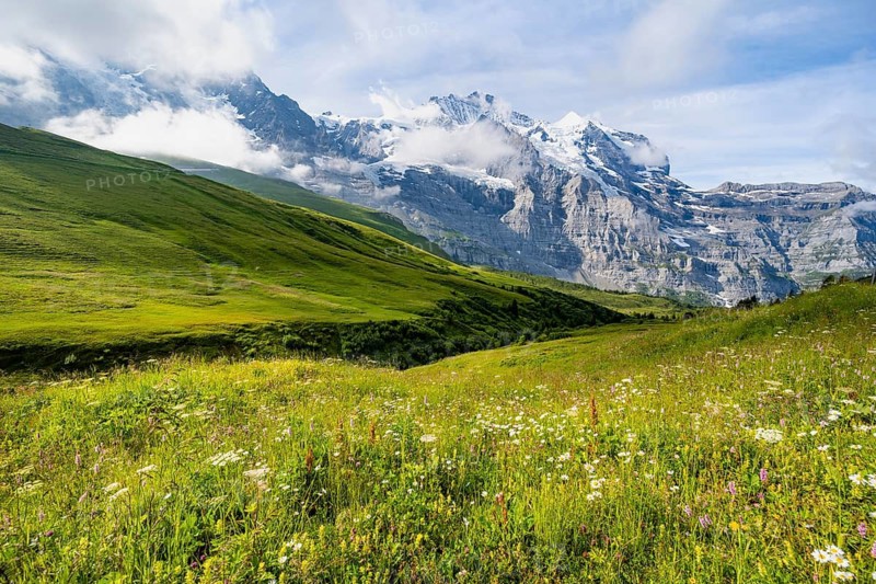 Mountain panorama with peaks Eiger, Mönch and Jungfrau, blooming mountain meadows, Kleine Scheidegg, Jungfrau region, Bernese Oberland, Switzerland