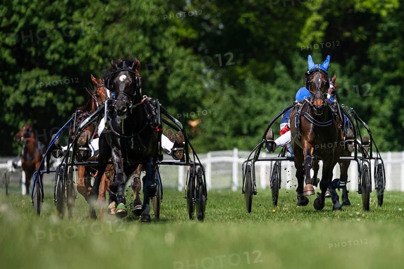 Harness horse race in motion on grassy track, drivers in colorful uniforms steering sulkies, real authentic sports action in Wroclaw, Poland