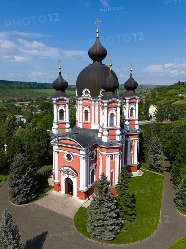 Magnificent Orthodox Cathedral with dark domes and surroundings surrounded by pine trees, aerial view, Cathedral of the Nativity of the Virgin Mary, Curchi monastery, Orhei district, Republic of Moldova, Moldova