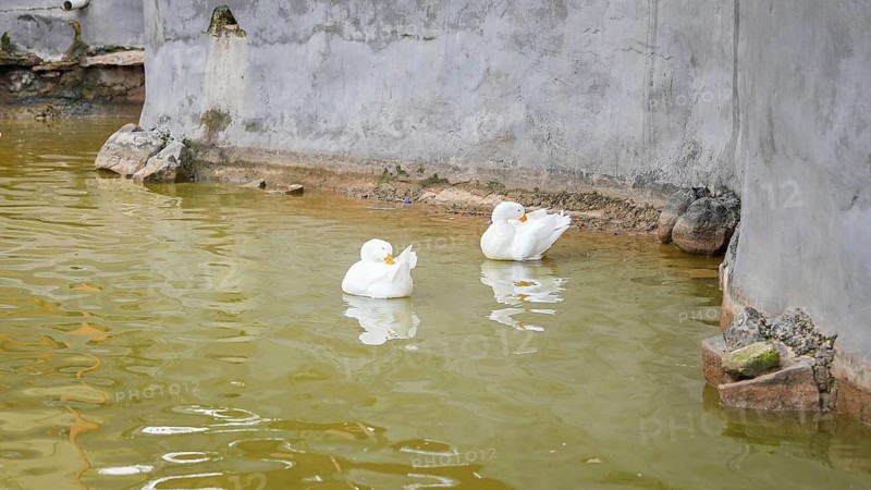 GAZIANTEP, TURKEY - APRIL 18, 2026: Visitors enjoy an early spring stroll at Gaziantep Wildlife Park. Ranked as the largest zoo in Turkey, the second largest in Europe, and fourth globally, the park is a major attraction home to 380 diverse animal species, Gaziantep, Turkey