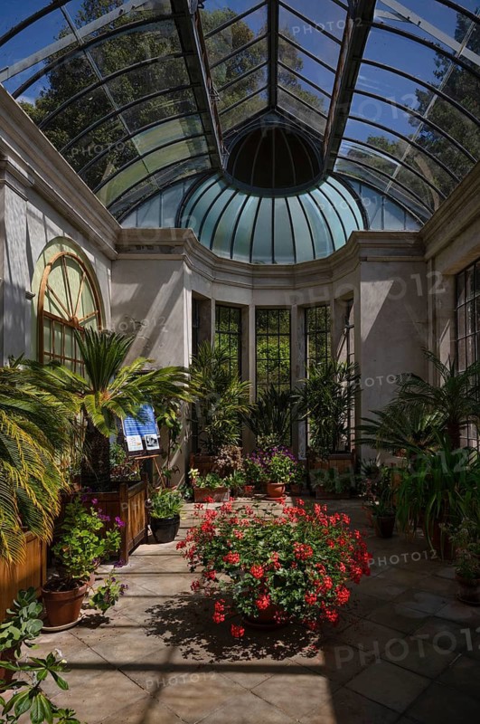 Interior view of greenhouse, Trelissick House and Gardens, Feock, Cornwall, England, Great Britain, Great Britain