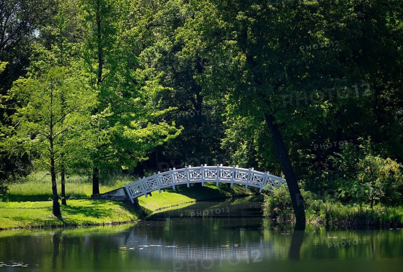 The White Bridge, Wörlitzer Park, Wörlitzer Anlagen, Wörlitz, Oranienbaum, Saxony-Anhalt, Germany