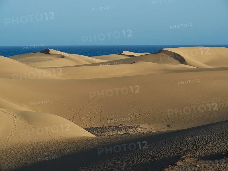 Curving sand dunes with sea in the background under blue sky, Maspalomas Dunes, Gran Canaria, Spain